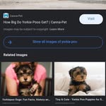 Robin Bowles - @robin.bowles.9847 - Instagram