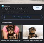 Robin Bowles - Facebook