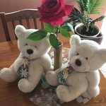 Robyn Bray - @teddiesathome - Instagram