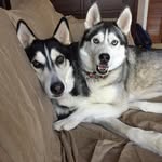 Robin Brock - @robinbrock1958 - Instagram