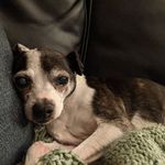 Robyn Buckley - @lettherightrobyn - Instagram