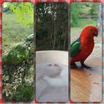Robyn Buckley-Parrott - @buckleyparrott - Instagram
