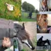 Robyn.Buckley - @robyn_buckley123 - TikTok