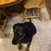 Robyn Carr Murray - @user3710985733269 - TikTok