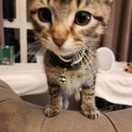 Robin Chen - Facebook