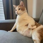 Robyn Chen - Facebook
