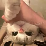 Robyn - @robyn_holden_cheng - Instagram