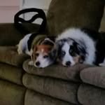 Robin Coates - @robin.coates - Instagram