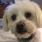 Robyn Colbert - Facebook