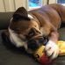 Robyn Curtis - Facebook