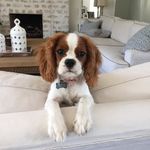 Robyn Brown Daniels - @robynld - Instagram