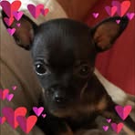 Robyn DaRosa - Facebook