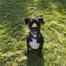 Robyn Varley Dibbern - Facebook