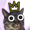 Robyn Dunbar - @peppertabby12 - TikTok