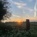 Robyn Farrell - @robynfarrell648 - Instagram