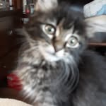 Robin Fielder - @robin.fielder.39 - Instagram