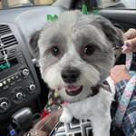 Robin Fielder - @robinfielder - Instagram