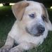 Robyn Fischer - Facebook