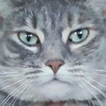 Robin Flaherty - @robes60 - Instagram