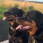 Robyn Fleming - @robynn05xo - Instagram