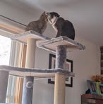 Robin Folsom - Facebook