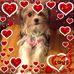 Robyn Fontenot - Facebook