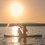 Robyn Forbes - @freespiritdogwalking - Instagram