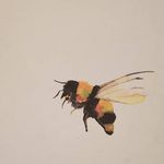 Robyn Frank - @artofrobynfran.k - Instagram