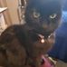 Robyn Fraser - Facebook
