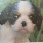 Robyn Frye - @robynfrye2008 - Instagram