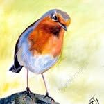 Robin L Gaddis - @gaddis.robin - Instagram
