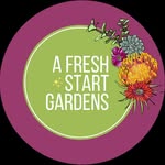 Robyn | Fairy Garden Mother - @afreshstartgardens - Instagram