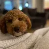 @robyn_garza - @robyn_garza - TikTok