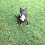Robyn Geddes - @geddes.robyn - Instagram