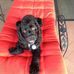 Robyn Gentry - Facebook
