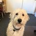 Robyn Gillette - Facebook