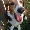 robyn_glass - @robyn_glass - TikTok