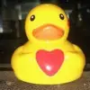 Robin Gleason - @robin.gleason6 - TikTok