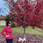 Robyn van Dam - @robynglenn.vandam - Instagram