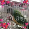 Robyn Gonzalez - @rgonzalez_56yahoo.com - TikTok