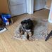 Robin Goodrich - Facebook