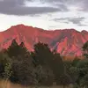 Robyn Gorman Savage - @robynsavageremaxboulder - TikTok