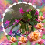 Robyn Grieve - Facebook