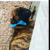 Robyn griffin - @robyn.griffin - TikTok
