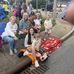 Robyn Gross - Facebook