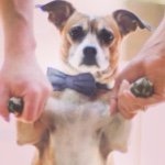 Robyn Guest - @jackandhenrysmama - Instagram