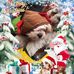 Robyn Guest - Facebook