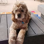 Robin Gunter - @rl_gunter - Instagram
