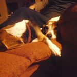 Robin Hamlin - @beauxgle - Instagram