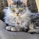 Robyn Hanks Schlung - @robynschlung - Instagram
